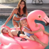 veliki napihljivi flamingo
