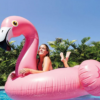 veliki napihljivi flamingo