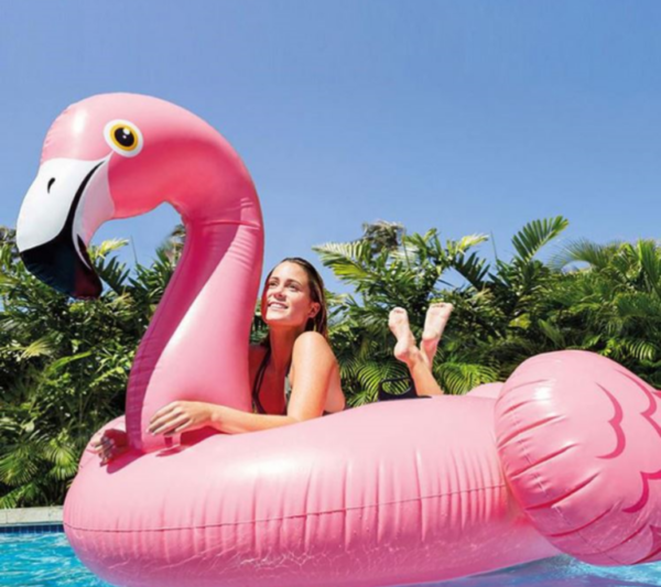 veliki napihljivi flamingo